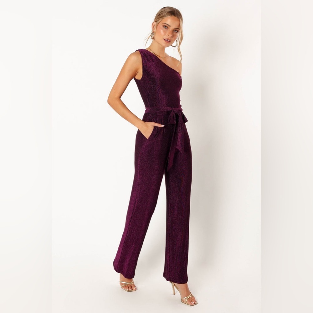 Petal & pup metallic sparkle jumpsuit nwot - Picture 2 of 6